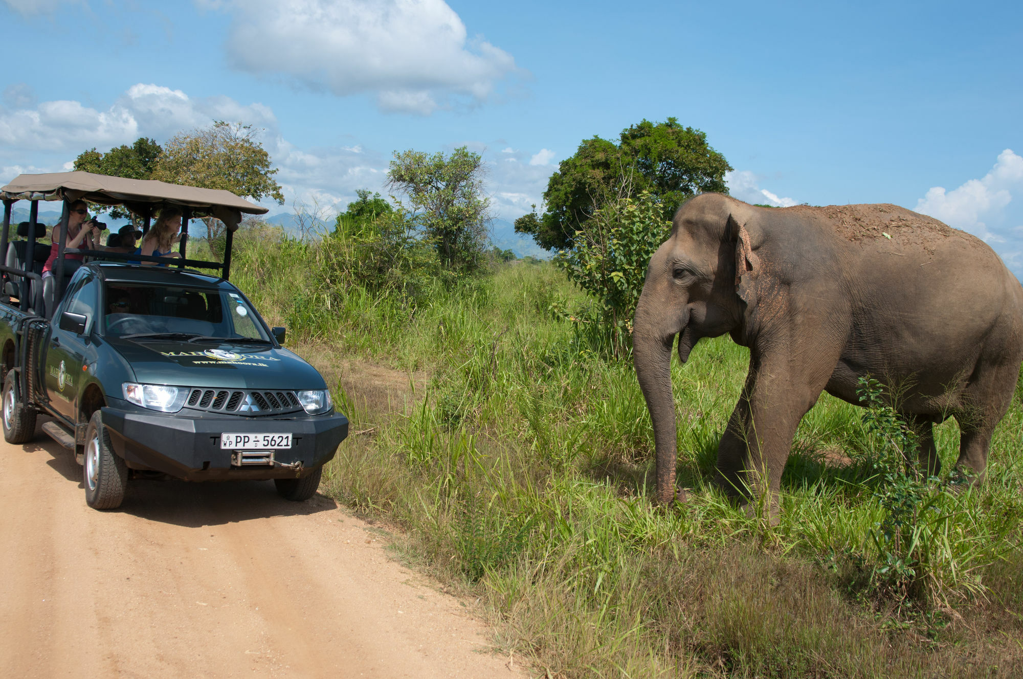 Mahoora Tented Safari Camp Udawalawe Hotel Exterior photo